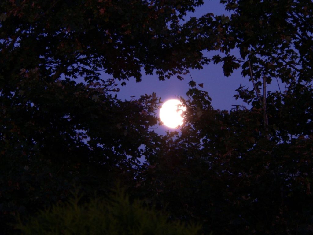 August Full Moon 2021